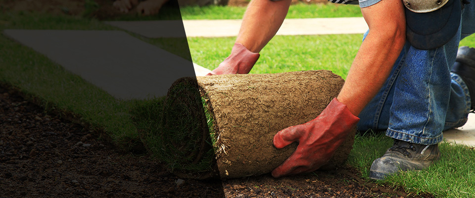 Mount Marion Landscapers